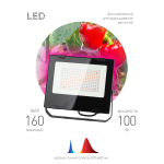 Фитопрожектор для растений светодиодный ЭРА FITO-100W-RB-LED для цветения и плодоношения красно-синего спектра 100 Вт