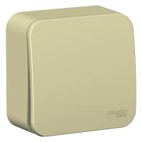 BLANCA О/У 1-клавишный ПЕРЕКЛЮЧАТЕЛЬ (сх.6) ИЗОЛ.ПЛ., 10А, 250В, БЕЖЕВЫЙ