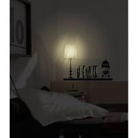 NL61 Светильник-ночник  230V ESB 9W E14 с сетевым шнуром