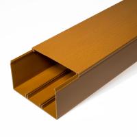 Кабель-канал бук 2-й замок в п/э 100х60 мм (8 м/уп) Промрукав