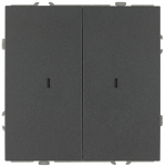 15-1105-06  Выключатель ЭРА Galaxy 15-1105-06 двойной с подсветкой 10АХ-250В IP20 графит
