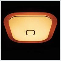 F52 PI 48W S450 ORBITAL Многофункциональный (ПДУ)