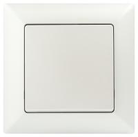 Выключатель Intro Solo 4-101-06 одноклавишный 10А-250В, IP20, СУ, перламутр