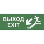 INFO-SSA-109  Самоклеящаяся этикетка ЭРА INFO-SSA-109 330х120мм  Выход/лестница вниз/фигура  SSA-101/DPA-301