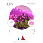 Светодиодная лента для растений ЭРА FITO-Strip Light-RB-2m красно-синего спектра, 2 м, IP65