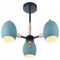 Потолочный светильник FR5032CL-03B