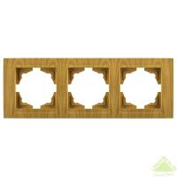 VS2823143 Рамка 3-я КЛЕН