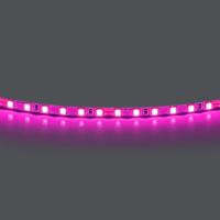 420512 Лента LIGHTSTAR LED 24V 12W 120leds/M 1600 LM/M pink IP20 1шт = 5м