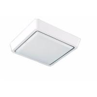 Cветодиодный накладной светильник DLS 15W S-170-CW-WHITE/WHITE-220-IP44