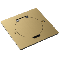 Лючок 2 мод. (1 мод. 45х45 мм.), круглая крышка, зотоло, IP44