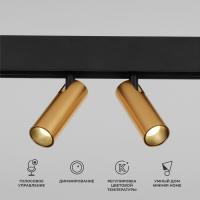 Slim Magnetic Умный трековый поворотный светильник 14W 2700-6500K Dim Dual латунь 85056/01
