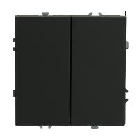 Выключатель 2-клавишный (механизм), STEKKER, 250В, 10А, серия Эмили, RSW10-5104-05, черный уголь, soft touch