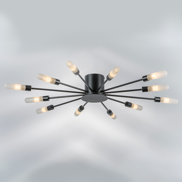 733127 Люстра RAGNO 12х40W G9 ЧЕРНЫЙ МАТОВЫЙ