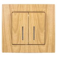 VS2823104 Выкл. 2-клав. с подсветкой КЛЕН