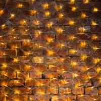 Гирлянда Сеть 2х1,5м, свечение с динамикой, прозрачный ПВХ, 288 LED, 230 В, цвет: Тёплый белый (шнур питания в комплекте)