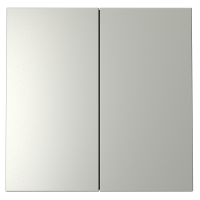 Клавиши для выключателя/переключателя двухклавишного, S70 (сталь)