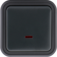 Выключатель звонкового типа 1-клавишный накладной, с подсветкой, цвет антрацит, IP55, серия W55