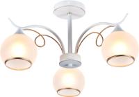 Светильник MDL10239/3