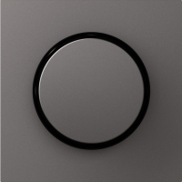 Накладка для светорегулятора поворотного, матовый титан, серия A07