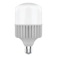 Лампа Gauss Elementary T140 80W 7200lm 6500K E40 LED 1/8