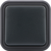 Переключатель 1-клавишный накладной, цвет антрацит, IP55, серия W55