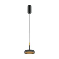 Подвесной светильник Maytoni MOD041PL-L15GB3K