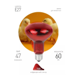 ИКЗК 230-60 R63 E27  Комплект из 2-х инфракрасных ламп ЭРА ИКЗК 230-60 R63 E27 для курятника цыплят птиц животных/лампа для обогрева