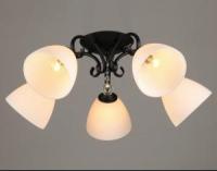 Люстра P9722/5  (4)