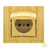 VS2823117 Розетка 1х с заземлением и крышкой КЛЕН