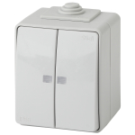 11-1605-03  Выключатель ЭРА Эксперт 11-1605-03 двойной с подсветкой IP65 10АХ-250В ОУ серый