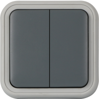 Рамка с клавишей для скрытой установки переключателя двухклавишного, цвет серый, IP55, серия W55