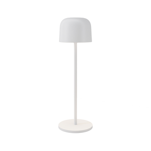 Уличный переносной аккумуляторный светильник Outdoor O528TL-L2WCCT