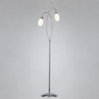 Напольный светильник со стеклянными плафонами 22080/2F хром