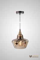 Подвесной светильник в стиле Лофт AM Group AM272-1D