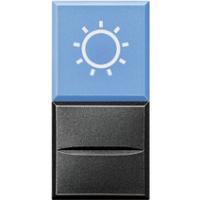 BT Axolute Антрацит Axial Кнопка с рассеивателем 1Р голубой с симв.лампа 230 и 127 В~ 10 А