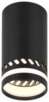 Светильник настенно-потолочный спот ЭРА OL50 BK MR16 GU10 IP20 черный
