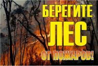 Знак металл "Берегите лес от огня!" (800x1200) EKF PROxima