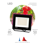 Фитопрожектор для растений светодиодный ЭРА FITO-50W-RB-LED для цветения и плодоношения красно-синего спектра 50 Вт