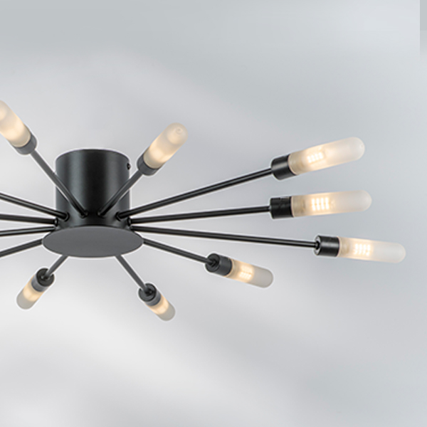 733127 Люстра RAGNO 12х40W G9 ЧЕРНЫЙ МАТОВЫЙ