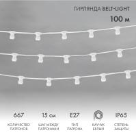 Гирлянда Belt-Light 2 жилы, 100м, шаг 15см, 667 патронов E27, IP65, белый провод NEON-NIGHT