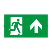 Пиктограмма EMGP-DIRECT-UP (Вверх) (Arlight, Пластик)