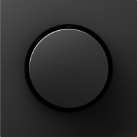 Накладка для светорегулятора поворотного, матовый карбон, серия A07