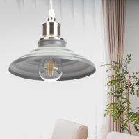 Светильник подвесной (подвес) ЭРА PL4 GR/SN металл, E27, max 60W, высота плафона 80мм,подвеса 800мм, серый/сатин никель