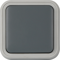 Рамка с клавишей для скрытой установки переключателя одиночный, цвет серый, IP55, серия W55