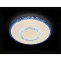 F99 BL 96W D500 ORBITAL Многофункциональный (ПДУ)