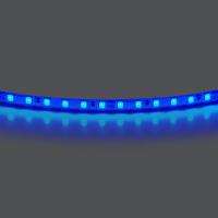 420515 Лента LIGHTSTAR LED 24V 12W 120leds/M 1600 LM/M blue IP20 1шт = 5м