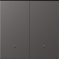 Клавиша 2-я с подсветкой, матовый титан, серия S08