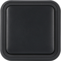 Рамка с клавишей для скрытой установки переключателя одиночный, цвет антрацит, IP55, серия W55