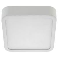 Светильник потолочный накладной AM Group AM295-12W-WH-4000K/S