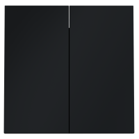 Клавиши для выключателя/переключателя двухклавишного, S70 (графит)